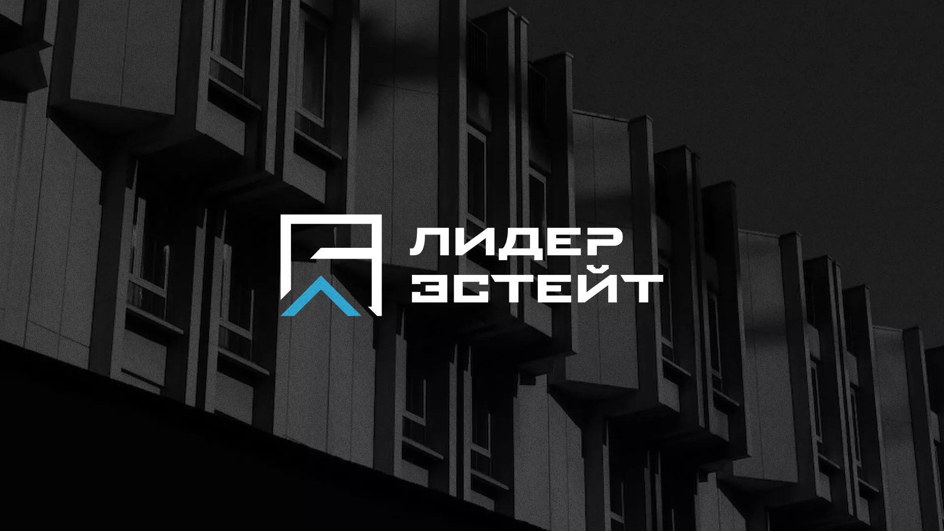 Разработка логотипа агентства недвижимости «Лидер Эстейт» в Темникове